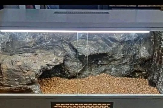 Terrarium specjalistyczne dla agamy brodatej żółwia greckiego