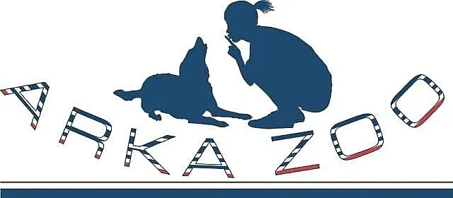 Psie przedszkole / szkolenia psów / konsultacje dl