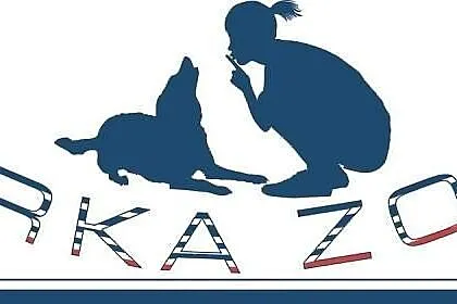 Psie przedszkole / szkolenia psów / konsultacje dl
