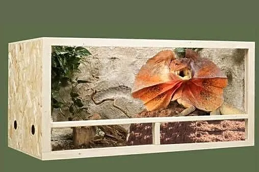 Terrarium z płyty OSB 150x80x80 cm, Wielkopolskie, Pięczkowo