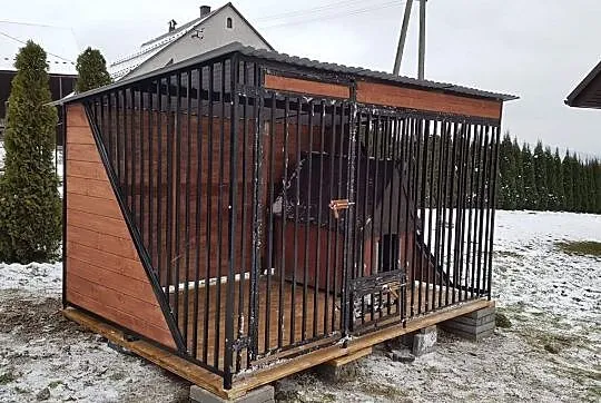 Kojec klatka dla psa, Małopolskie, Limanowa