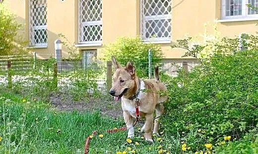 Najsłodszy pirat świata :)), śląskie Katowice