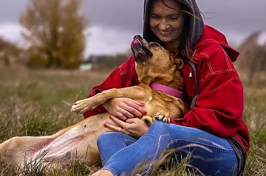 Azja, dzieciolubna, towarzyska sunia do pokochania!,  Kundelki cała Polska, 