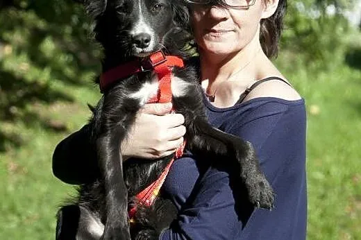 Laya - urocze cudo do adopcji :),  Kundelki cała P