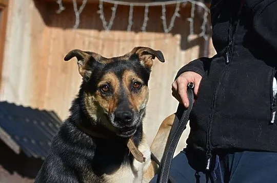 Sara da Ci radości wiele, więc zostań jej przyjacielem, Mazowieckie, Warszawa