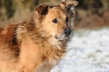 Teddy, jak przytulanka z bajki,  lubelskie Lublin