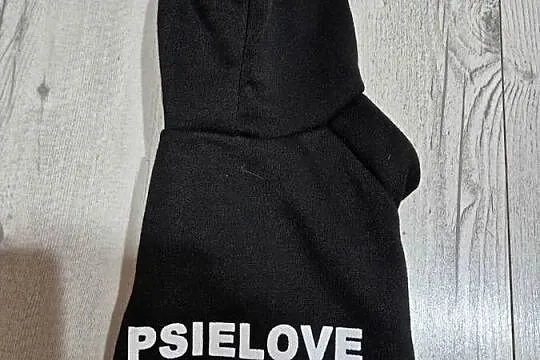 Ubranko dla psa, Opolskie, Wołczyn