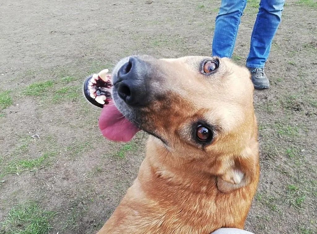 No heej, weź mnie do chaty sweej - Lorka, Śląskie, Katowice