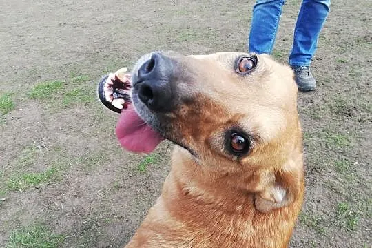 No heej, weź mnie do chaty sweej - Lorka, Śląskie, Katowice