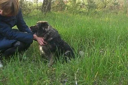 Uroczy, nieduzy BĄBIŚwciąz wierzy w człowieka- szu