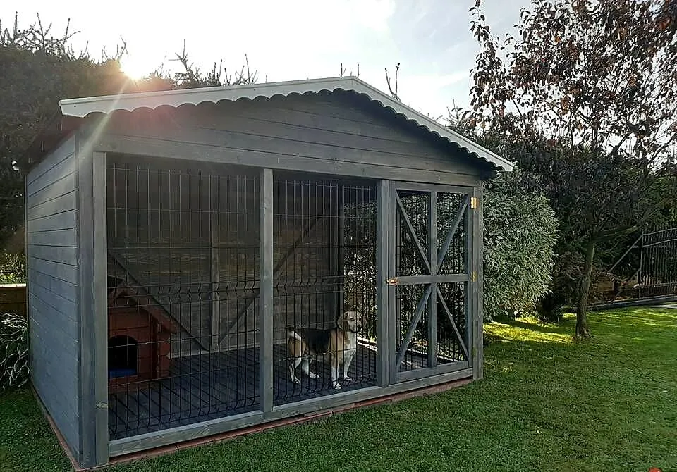 Kojec dla psa, Małopolskie, Jordanów