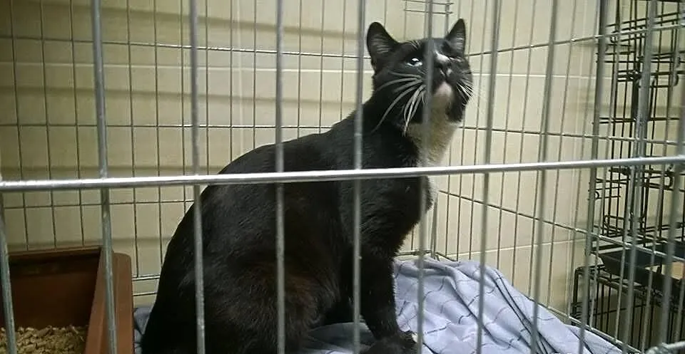 Szukamy portu dla Żeglarza, kto może mu pomoc ???