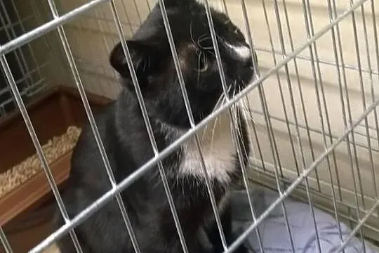 Szukamy portu dla Żeglarza, kto może mu pomoc ???