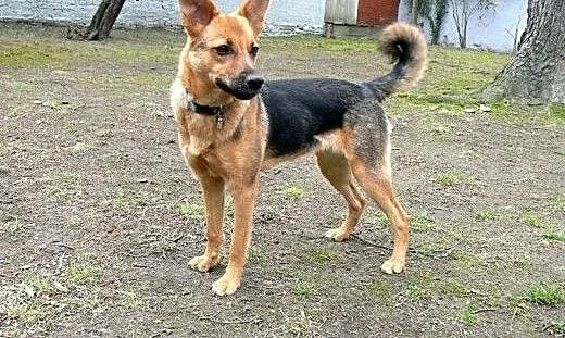 Hermiona - do pokochania na już :), mazowieckie W