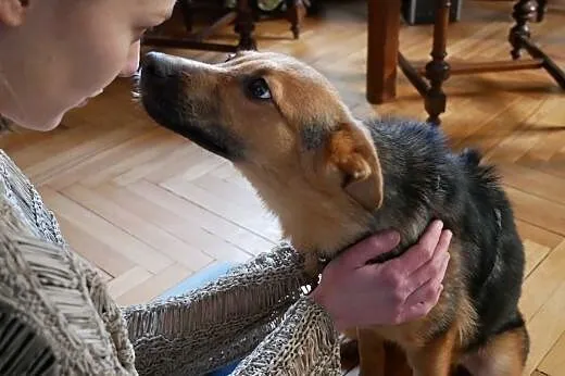Hermiona - do pokochania na już :),  mazowieckie W
