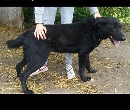 Czy Kuba ma szanse na inne życie?, lubuskie Zielo