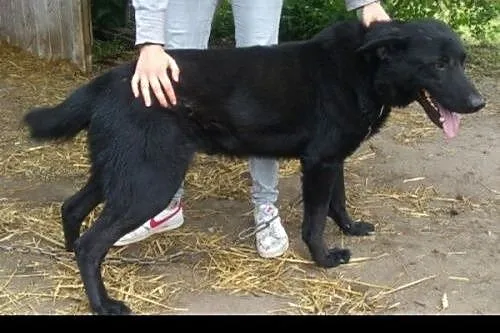 Czy Kuba ma szanse na inne życie?,  lubuskie Zielo