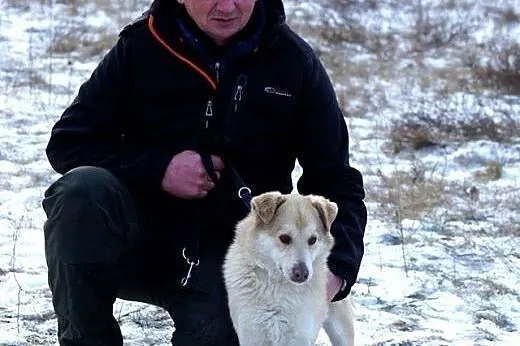 Młody, wesoły Flavio szuka wesołej, aktywnej rodzi