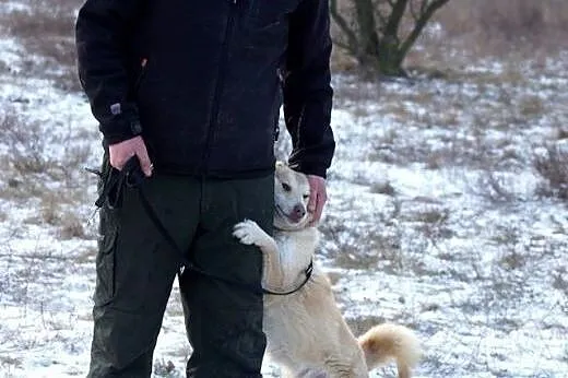 Młody, wesoły Flavio szuka wesołej, aktywnej rodzi