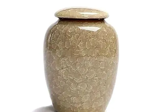 Urna na prochy psa kota zwierząt kremację ceramiczna żółta, Podkarpackie, Rzeszów