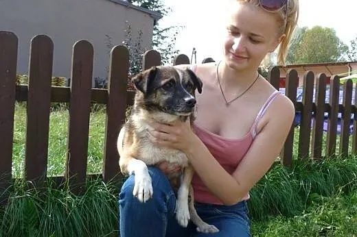 Miki mini staruszek czeka w schronisku na dom,  ma