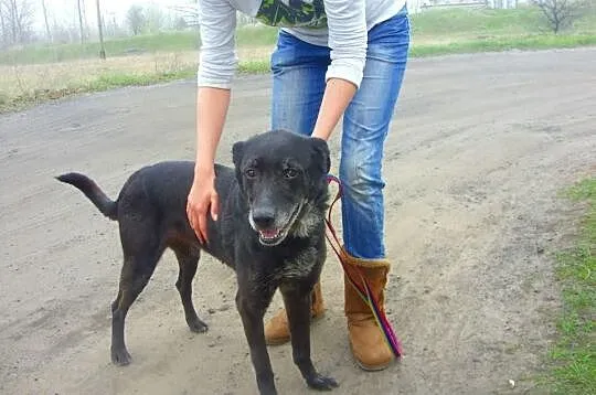 ROMA nie ma wad :) Przekonaj się, pokochasz ją na 
