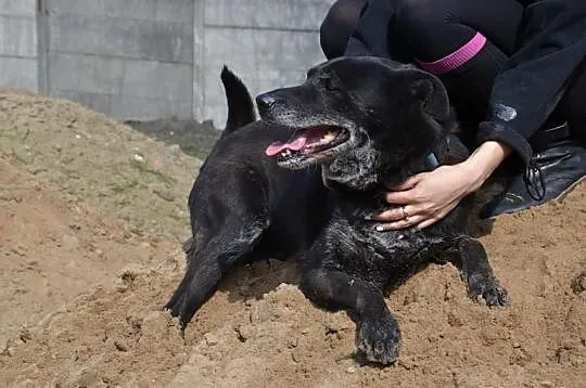 ROMA nie ma wad :) Przekonaj się, pokochasz ją na 
