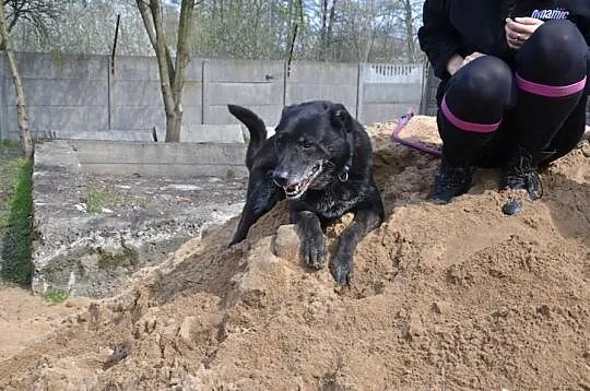 ROMA nie ma wad :) Przekonaj się, pokochasz ją na 
