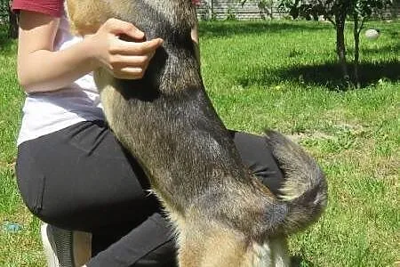 Radosna, kochająca cały świat Luna, niewielka i mł