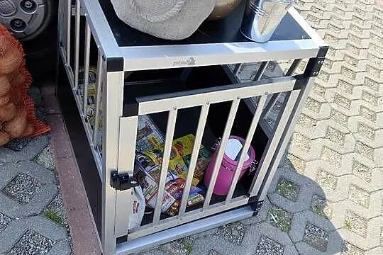 Klatka dla psa do samochodu