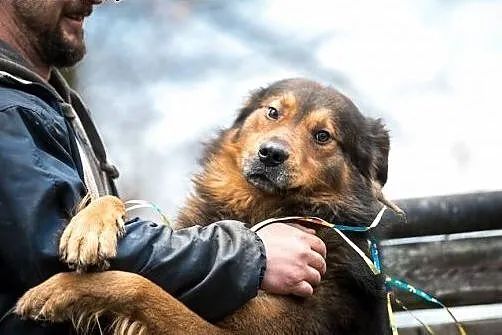 Pokochaj BROOKLYNA - to z nim wszystko się zaczyna