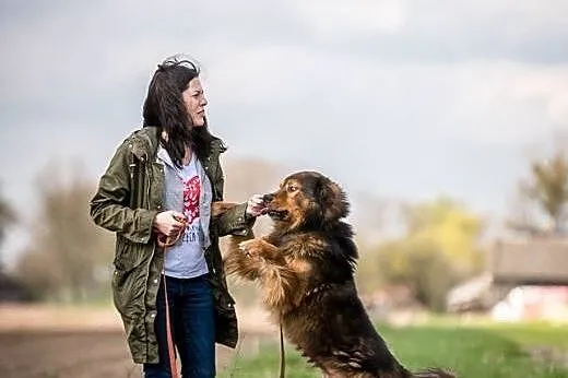 Pokochaj BROOKLYNA - to z nim wszystko się zaczyna