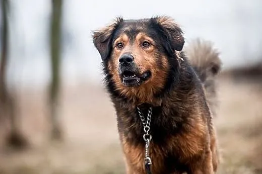 Pokochaj BROOKLYNA - to z nim wszystko się zaczyna
