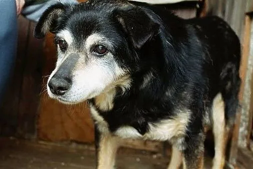 16 letni Jaro, błagamy o dom dla niego!,  podkarpa