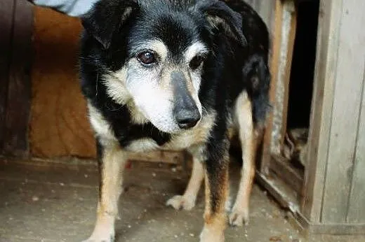 16 letni Jaro, błagamy o dom dla niego!,  podkarpa