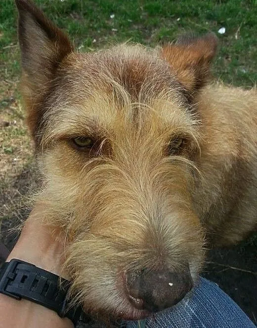 Kolorowa Niunia. Piękna babcia w świetnej formie a