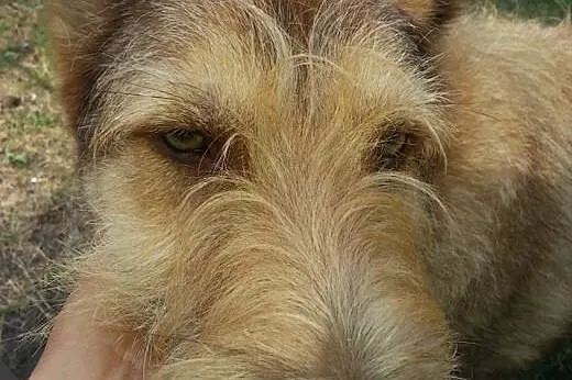 Kolorowa Niunia. Piękna babcia w świetnej formie a
