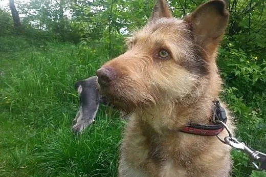 Kolorowa Niunia. Piękna babcia w świetnej formie a