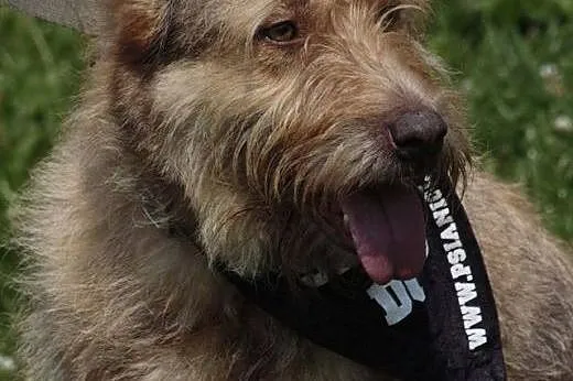 Kolorowa Niunia. Piękna babcia w świetnej formie a