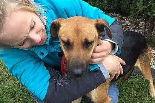 Sara - młoda sunia do adopcji, Mazowieckie, Warszawa