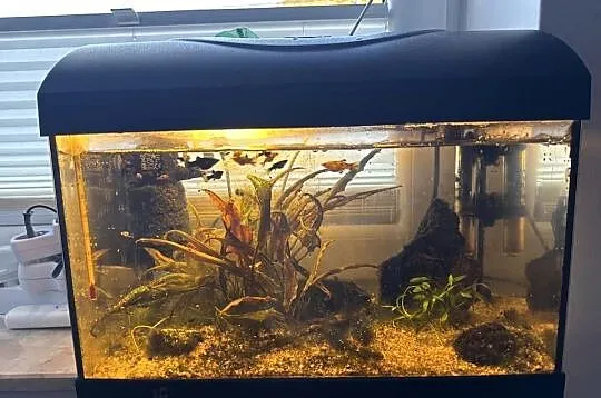 Akwarjum 105 L  i  25L z rybami, Mazowieckie, Warszawa