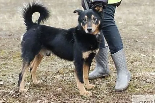 Gonzales kocha świat i ludzi daj mu domek którego szuka, Mazowieckie, Warszawa