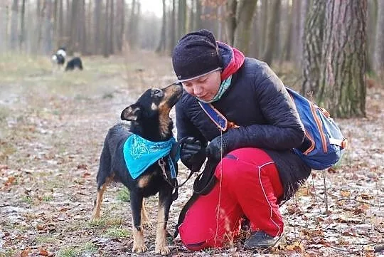 Gonzales kocha świat i ludzi daj mu domek którego szuka, Mazowieckie, Warszawa