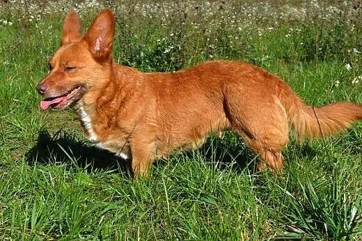 Lola i Fabio - chciałyby zostać razem...,  warmińs