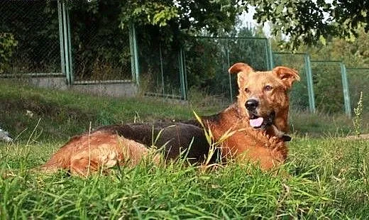 Cygan.Być ponad to,co nas boli..., kujawsko-pomor