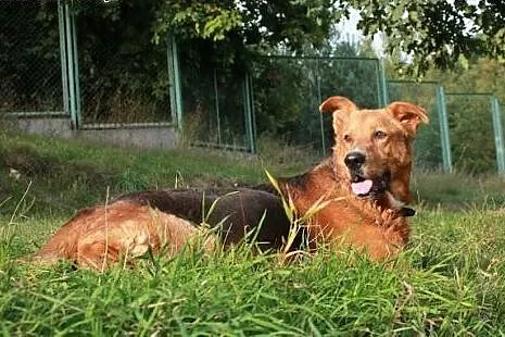 Cygan.Być ponad to,co nas boli...,  kujawsko-pomor
