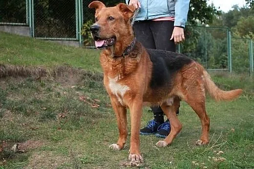 Cygan.Być ponad to,co nas boli...,  kujawsko-pomor