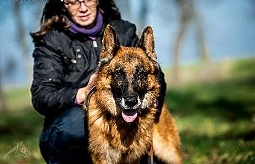 BARTEK - Twój stróż i wierny przyjaciel , mazowie