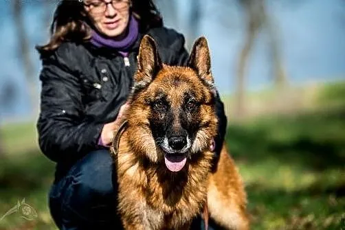BARTEK - Twój stróż i wierny przyjaciel , mazowieckie Warszawa