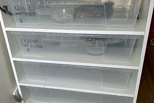Rack system na duże węże